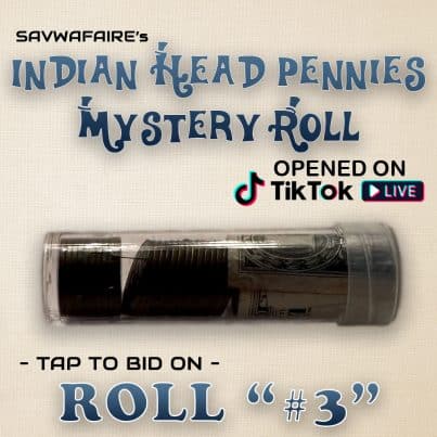 indianhead-pennies-auction-roll-3